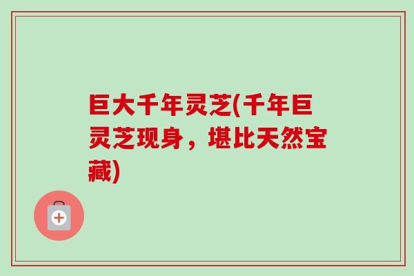 巨大千年灵芝(千年巨灵芝现身，堪比天然宝藏)