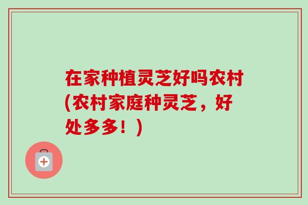 在家种植灵芝好吗农村(农村家庭种灵芝，好处多多！)