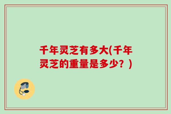 千年灵芝有多大(千年灵芝的重量是多少？)