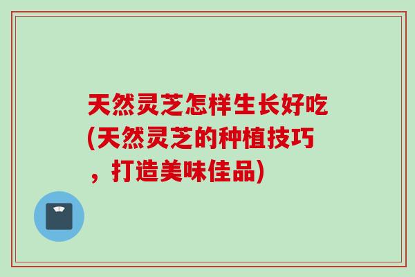 天然灵芝怎样生长好吃(天然灵芝的种植技巧，打造美味佳品)