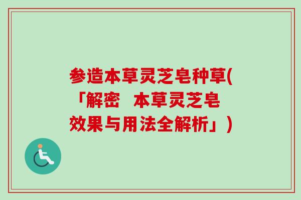 参造本草灵芝皂种草(「解密  本草灵芝皂效果与用法全解析」)