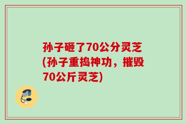 孙子砸了70公分灵芝(孙子重捣神功，摧毁70公斤灵芝)