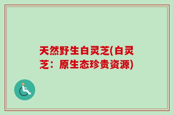 天然野生白灵芝(白灵芝：原生态珍贵资源)