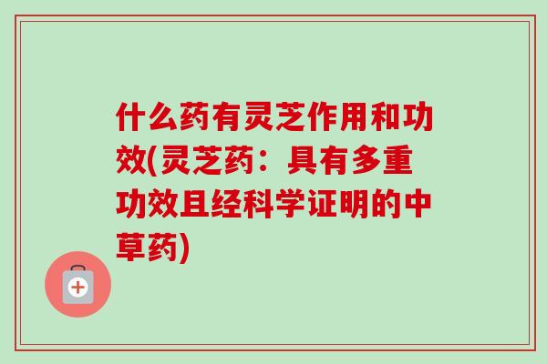 什么药有灵芝作用和功效(灵芝药：具有多重功效且经科学证明的中草药)