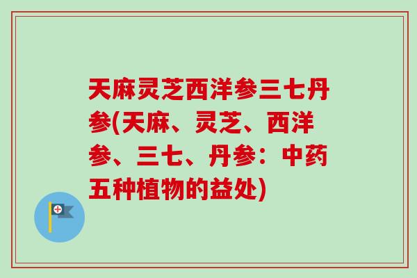 天麻灵芝西洋参三七丹参(天麻、灵芝、西洋参、三七、丹参：五种植物的益处)