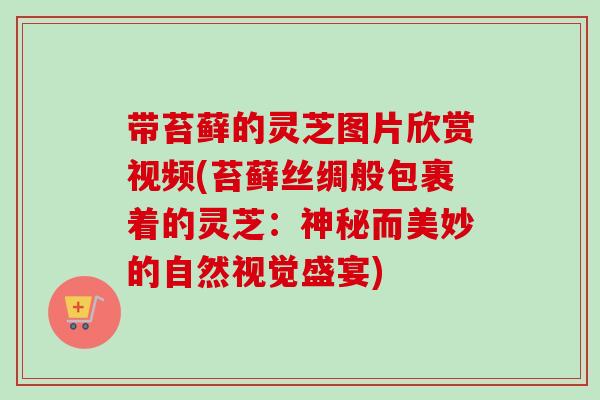 带苔藓的灵芝图片欣赏视频(苔藓丝绸般包裹着的灵芝：神秘而美妙的自然视觉盛宴)