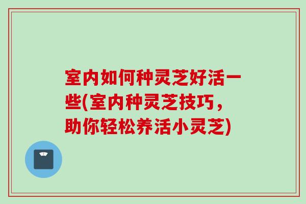 室内如何种灵芝好活一些(室内种灵芝技巧，助你轻松养活小灵芝)
