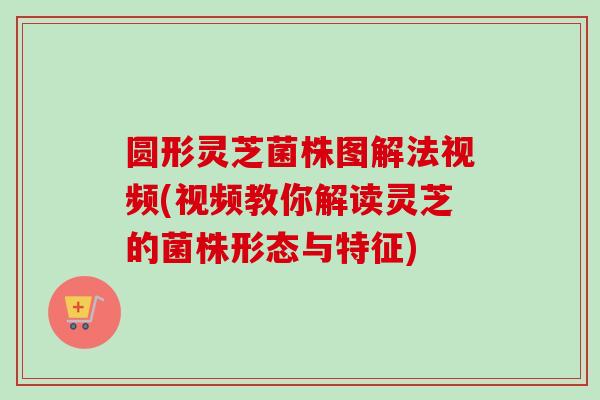 圆形灵芝菌株图解法视频(视频教你解读灵芝的菌株形态与特征)