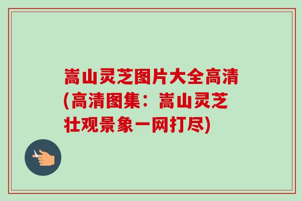 嵩山灵芝图片大全高清(高清图集：嵩山灵芝壮观景象一网打尽)