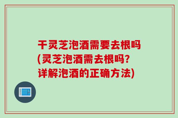 干灵芝泡酒需要去根吗(灵芝泡酒需去根吗？详解泡酒的正确方法)