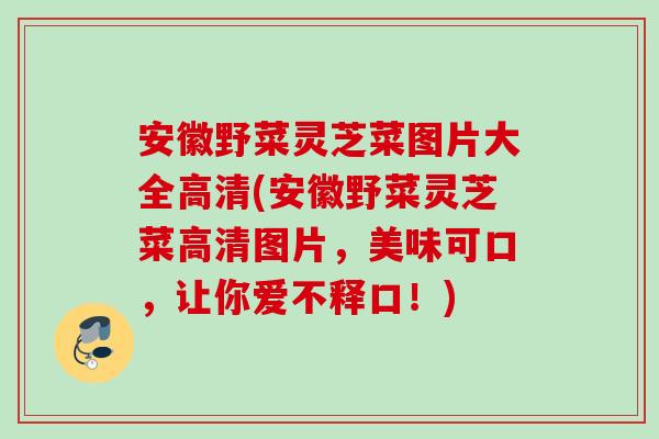 安徽野菜灵芝菜图片大全高清(安徽野菜灵芝菜高清图片，美味可口，让你爱不释口！)