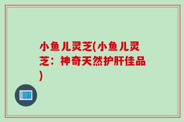 小鱼儿灵芝(小鱼儿灵芝：神奇天然护肝佳品)