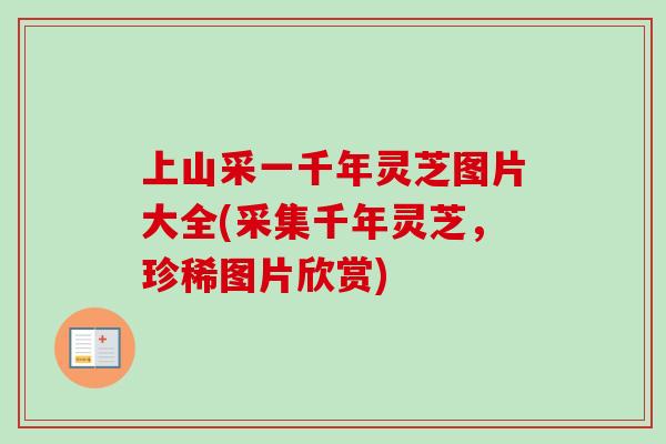 上山采一千年灵芝图片大全(采集千年灵芝，珍稀图片欣赏)