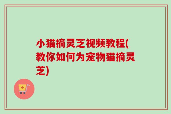 小猫摘灵芝视频教程(教你如何为宠物猫摘灵芝)
