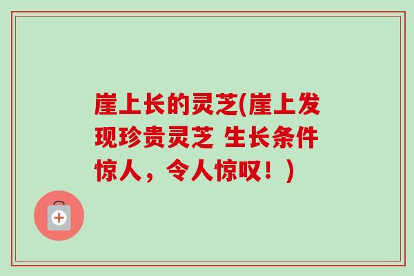 崖上长的灵芝(崖上发现珍贵灵芝 生长条件惊人，令人惊叹！)