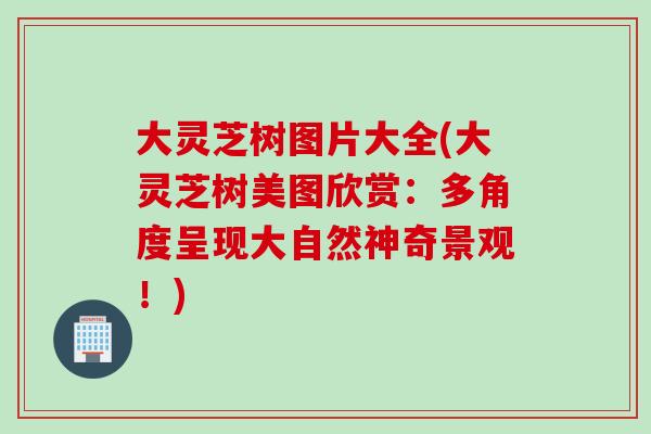 大灵芝树图片大全(大灵芝树美图欣赏：多角度呈现大自然神奇景观！)