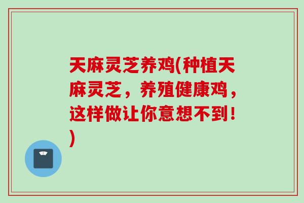 天麻灵芝养鸡(种植天麻灵芝，养殖健康鸡，这样做让你意想不到！)