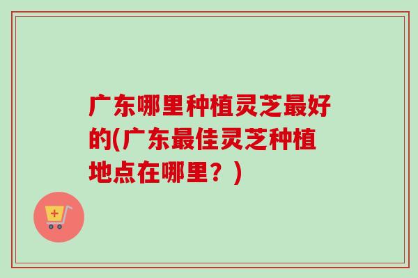 广东哪里种植灵芝最好的(广东最佳灵芝种植地点在哪里？)