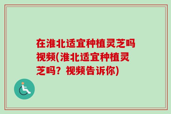 在淮北适宜种植灵芝吗视频(淮北适宜种植灵芝吗?视频告诉你) 在淮北适宜种植灵芝吗视频(淮北适宜种植灵芝吗?视频告诉你)