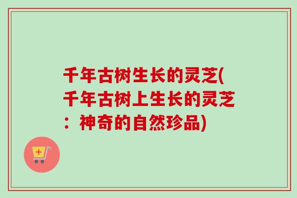 千年古树生长的灵芝(千年古树上生长的灵芝：神奇的自然珍品)