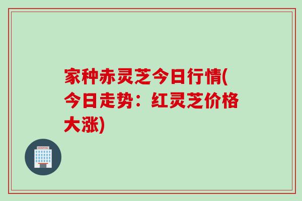家种赤灵芝今日行情(今日走势：红灵芝价格大涨)
