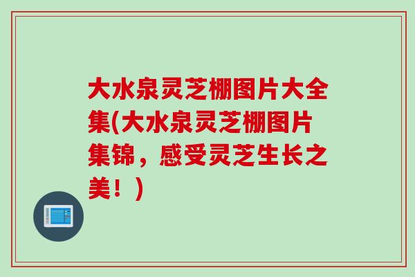 大水泉灵芝棚图片大全集(大水泉灵芝棚图片集锦,感受灵芝生长之美!) 大水泉灵芝棚图片大全集(大水泉灵芝棚图片集锦,感受灵芝生长之美!)