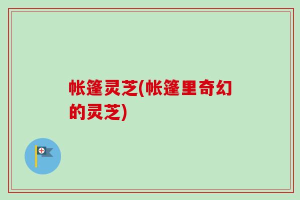 帐篷灵芝(帐篷里奇幻的灵芝)