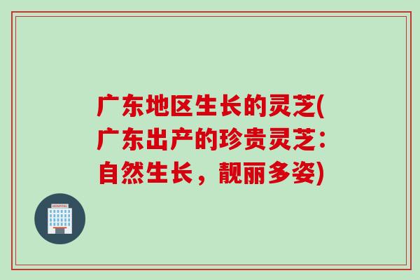 广东地区生长的灵芝(广东出产的珍贵灵芝：自然生长，靓丽多姿)