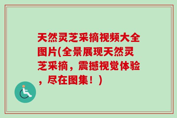 天然灵芝采摘视频大全图片(全景展现天然灵芝采摘，震撼视觉体验，尽在图集！)