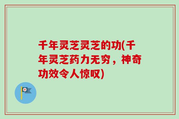 千年灵芝灵芝的功(千年灵芝药力无穷,神奇功效令人惊叹) 千年灵芝灵芝的功(千年灵芝药力无穷,神奇功效令人惊叹)