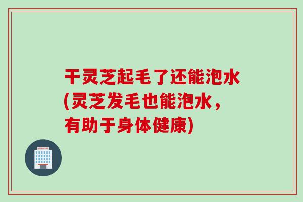 干灵芝起毛了还能泡水(灵芝发毛也能泡水，有助于身体健康)