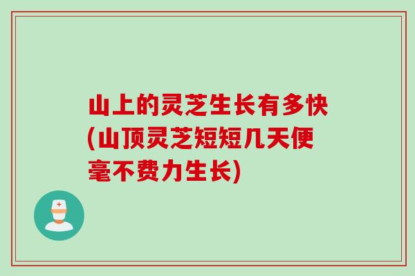 山上的灵芝生长有多快(山顶灵芝短短几天便毫不费力生长)