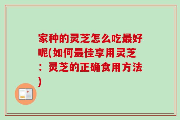 家种的灵芝怎么吃最好呢(如何最佳享用灵芝：灵芝的正确食用方法)
