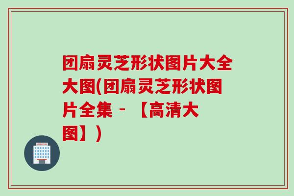 团扇灵芝形状图片大全大图(团扇灵芝形状图片全集 - 【高清大图】)