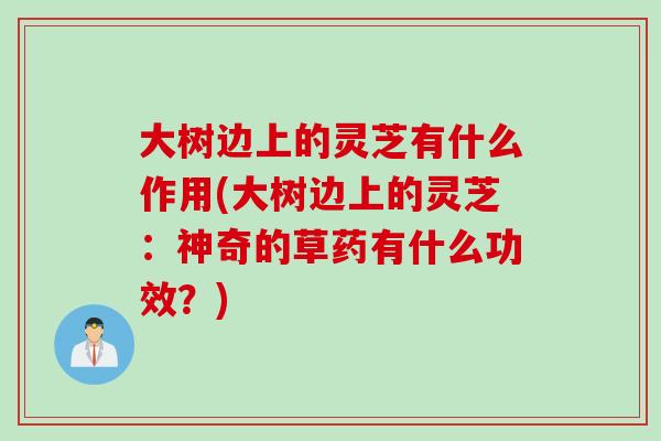 大树边上的灵芝有什么作用(大树边上的灵芝:神奇的草药有什么功效?) 大树边上的灵芝有什么作用(大树边上的灵芝:神奇的草药有什么功效?)
