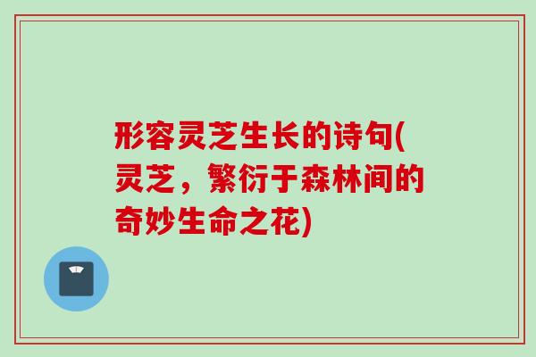 形容灵芝生长的诗句(灵芝，繁衍于森林间的奇妙生命之花)