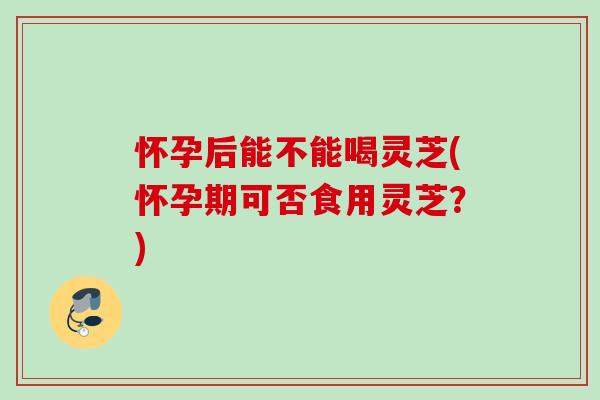 怀孕后能不能喝灵芝(怀孕期可否食用灵芝？)
