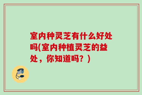 室内种灵芝有什么好处吗(室内种植灵芝的益处，你知道吗？)