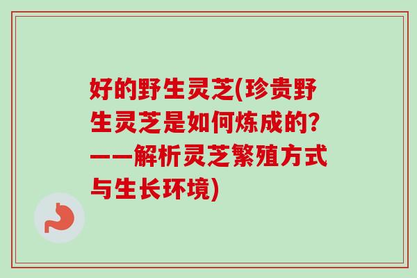 好的野生灵芝(珍贵野生灵芝是如何炼成的?——解析灵芝繁殖方式与生长环境) 好的野生灵芝(珍贵野生灵芝是如何炼成的?——解析灵芝繁殖方式与生长环境)