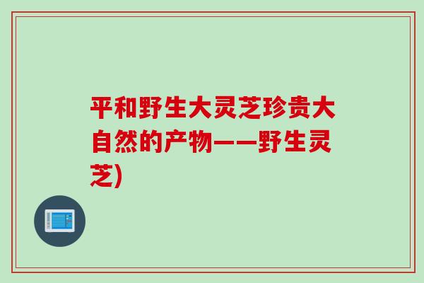 平和野生大灵芝珍贵大自然的产物——野生灵芝)