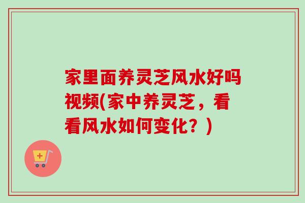 家里面养灵芝风水好吗视频(家中养灵芝，看看风水如何变化？)