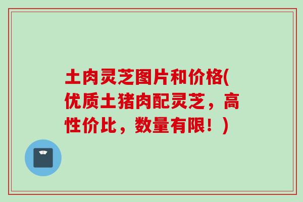 土肉灵芝图片和价格(优质土猪肉配灵芝，高性价比，数量有限！)