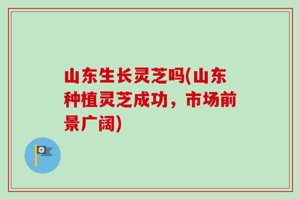 山东生长灵芝吗(山东种植灵芝成功，市场前景广阔)