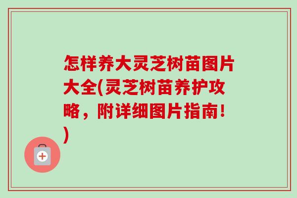 怎样养大灵芝树苗图片大全(灵芝树苗养护攻略，附详细图片指南！)