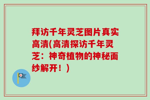 拜访千年灵芝图片真实高清(高清探访千年灵芝：神奇植物的神秘面纱解开！)