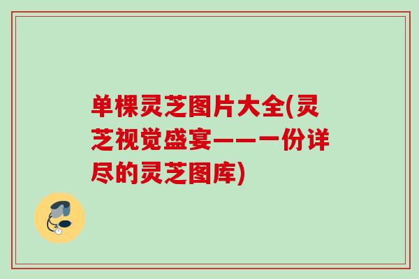 单棵灵芝图片大全(灵芝视觉盛宴——一份详尽的灵芝图库)