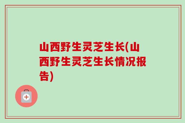 山西野生灵芝生长(山西野生灵芝生长情况报告) 山西野生灵芝生长(山西野生灵芝生长情况报告)