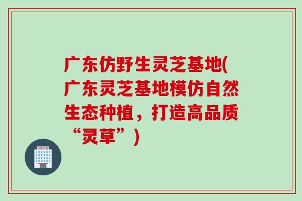 广东仿野生灵芝基地(广东灵芝基地模仿自然生态种植，打造高品质“灵草”)