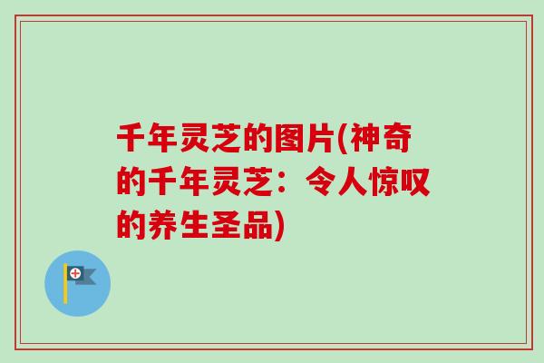 千年灵芝的图片(神奇的千年灵芝：令人惊叹的养生圣品)