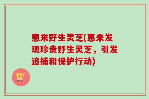 惠来野生灵芝(惠来发现珍贵野生灵芝，引发追捕和保护行动)